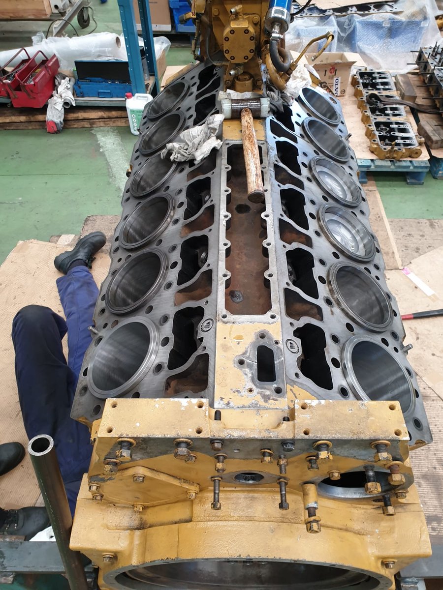 Imagen de Capitol 11 - 2019